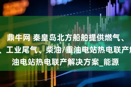 鼎牛网 秦皇岛北方船舶提供燃气、沼气、伴生气、工业尾气、柴油/重油电站热电联产解决方案_能源