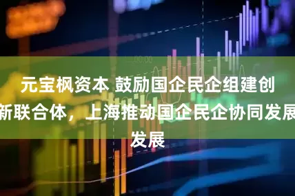 元宝枫资本 鼓励国企民企组建创新联合体，上海推动国企民企协同发展